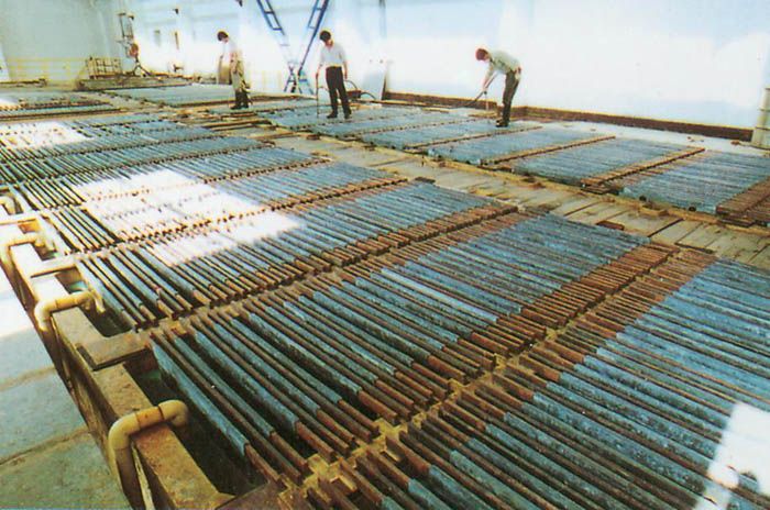 W020241121375656715602