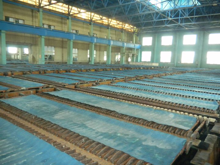 W020241119527173716030