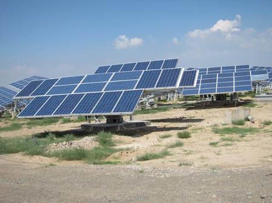 W020241119526078945072