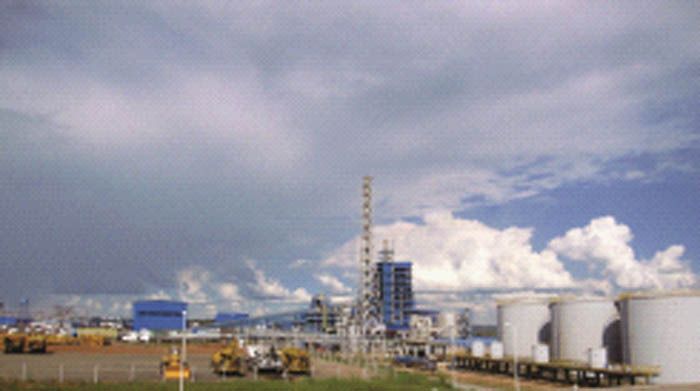 W020241119525561762657